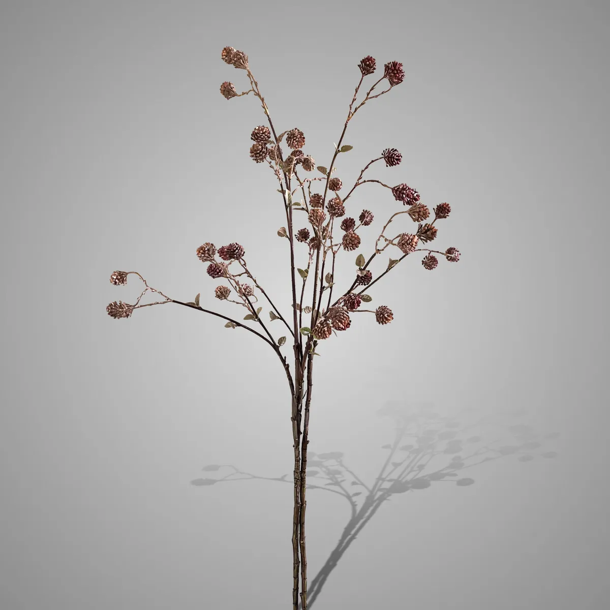 Sort. of Twig With Cedercones Autumn 80 cm