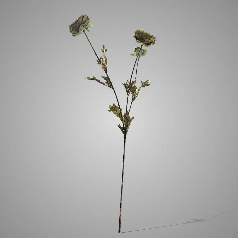 Ranunculus Grande Green 90 cm