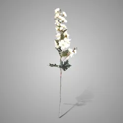 Delphinium White 82cm