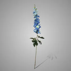 Delphinium Grande Spring Blue 105 cm