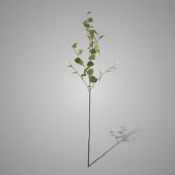 Betalu Twig Green 118 cm