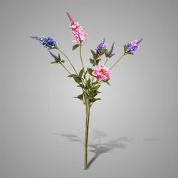 Sortment of Veronica Multi Spring 62 cm